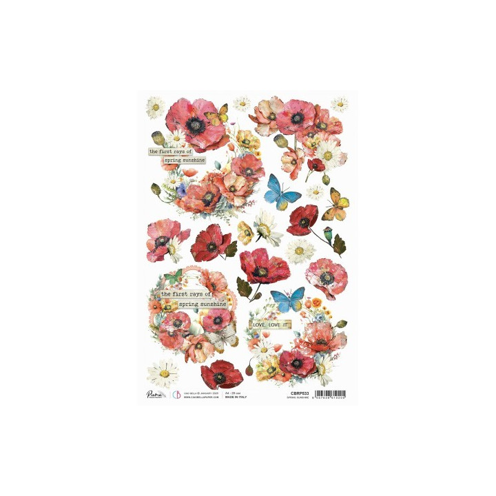 copy of 
